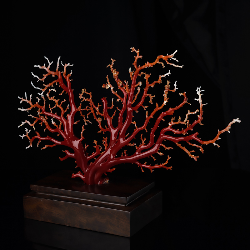 什么样的红珊瑚才算得上精品红珊瑚？