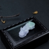 糯种春带彩翡翠貔貅吊坠-红掌柜