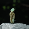 天然糯种俏色翡翠金猴进宝吊坠-红掌柜