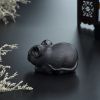 缅甸天然乌鸡种翡翠摆件-红掌柜