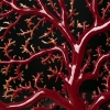 日本珊瑚原枝摆件-红掌柜