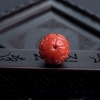 日本天然阿卡珊瑚龙珠-红掌柜