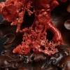 日本天然正红珊瑚连年有余摆件-红掌柜