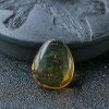 缅甸虫珀-红掌柜