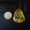 波罗的海金珀吊坠-红掌柜