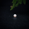 8.4mm海水粉白色珍珠单珠-红掌柜