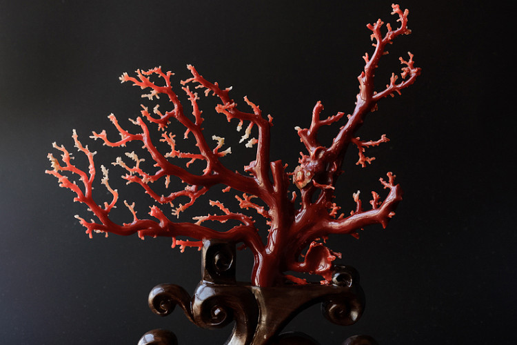 红珊瑚摆件，红珊瑚图片