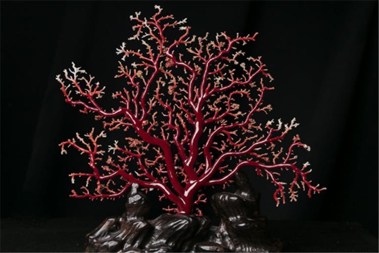 红珊瑚饰品