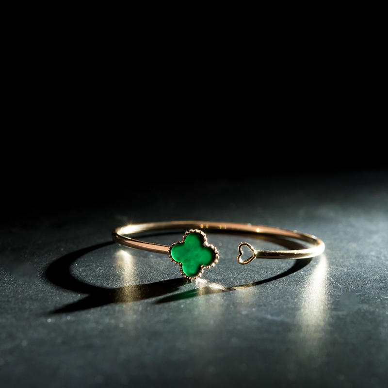 18K糯冰种墨翠手镯-红掌柜