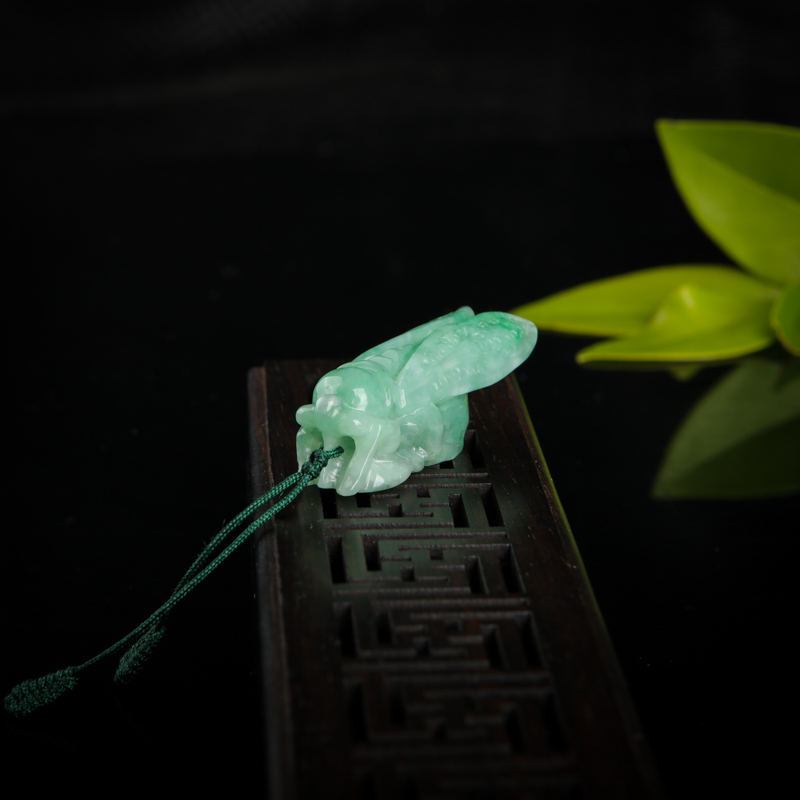 豆种飘翠翡翠一鸣惊人吊坠-红掌柜