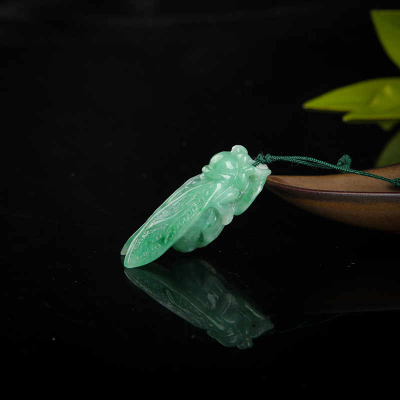 缅甸豆种飘翠翡翠一鸣惊人吊坠-红掌柜