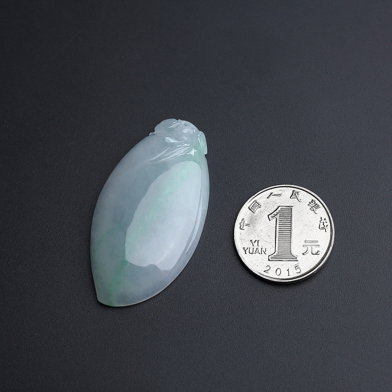 糯种飘绿翡翠吊坠 - 红掌柜