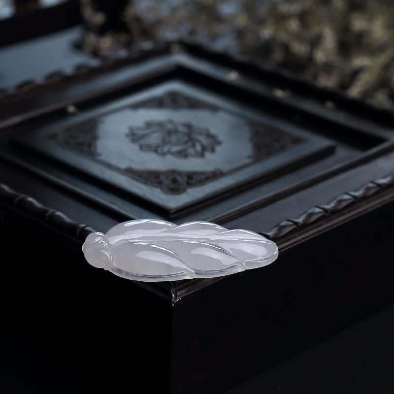 翡翠叶子-红掌柜