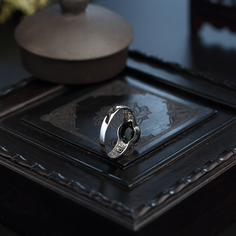 糯种墨翠戒指 - 红掌柜