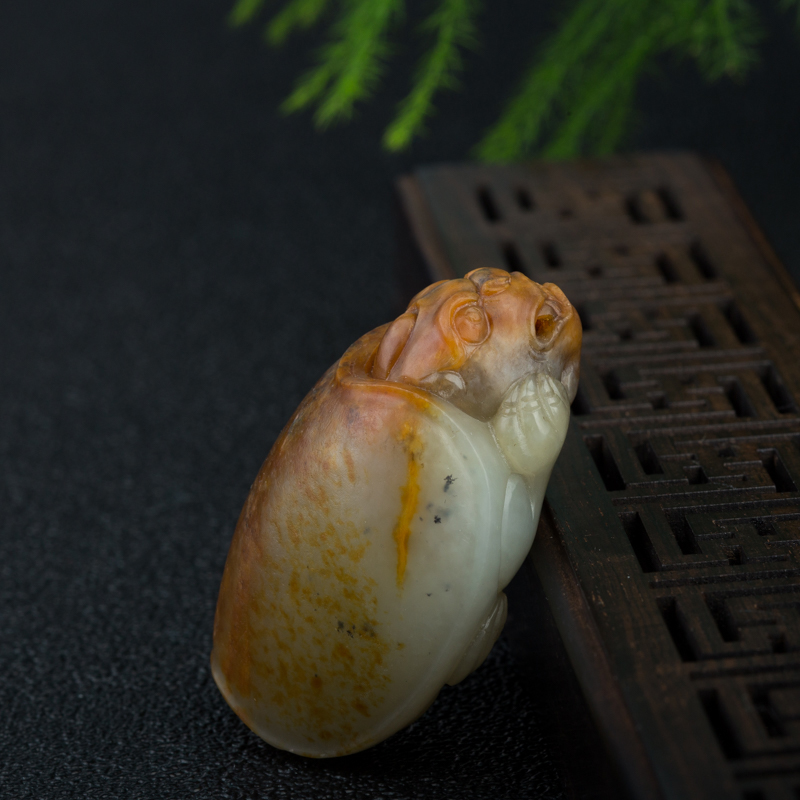 籽料和田玉龙龟吊坠-红掌柜