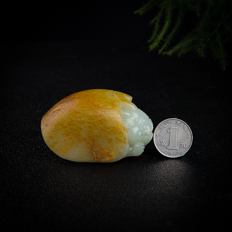 籽料和田玉龙龟小-红掌柜