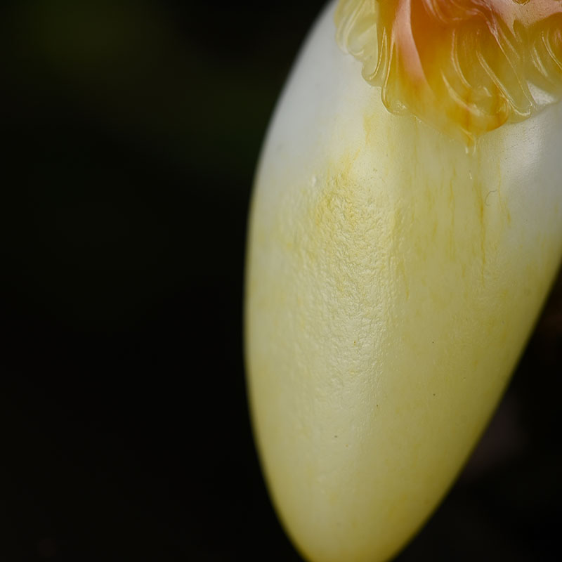 俏色和田玉钟馗-红掌柜