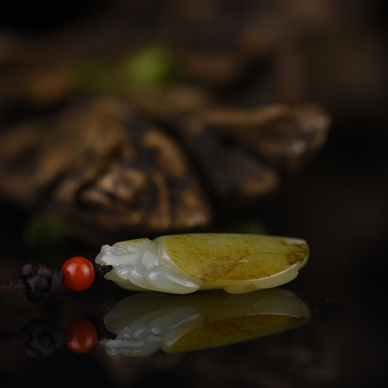 籽料和田玉龙龟吊坠-红掌柜