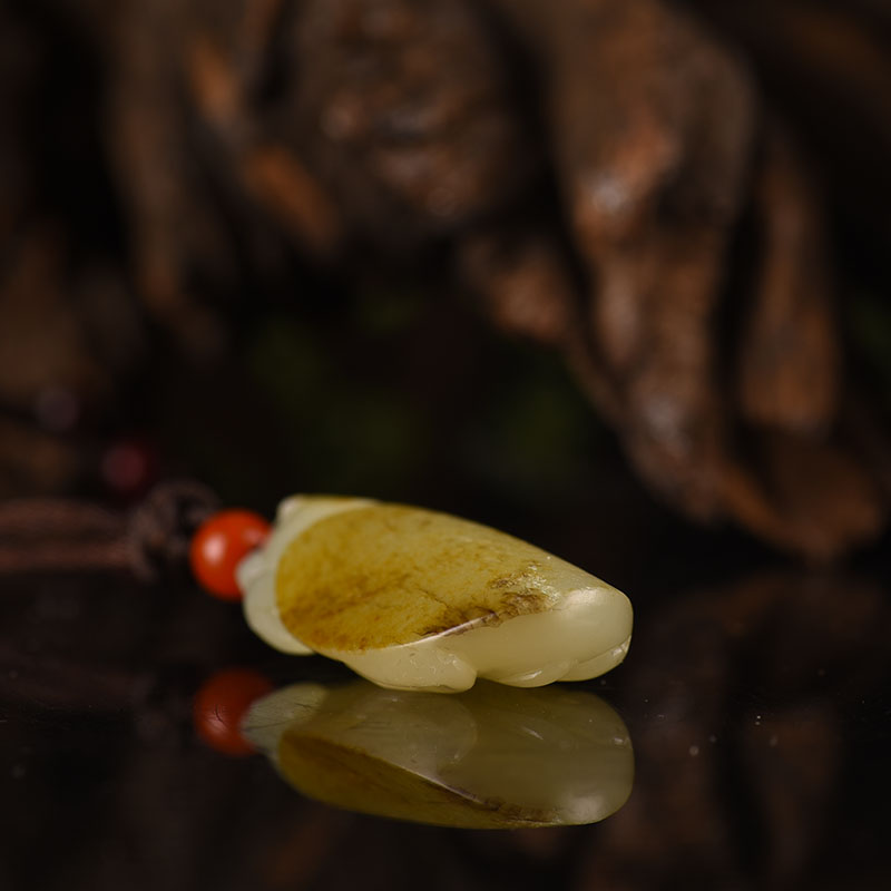 籽料和田玉龙龟吊坠-红掌柜