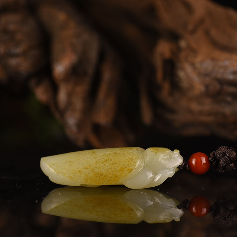 新疆和田玉龙龟吊坠-红掌柜