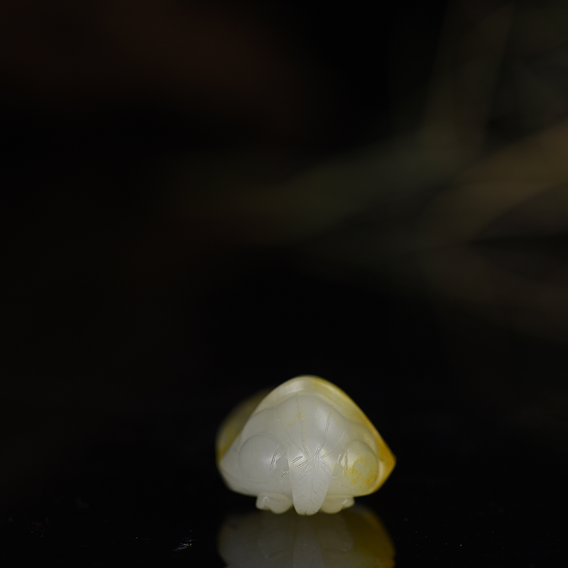 籽料和田白玉一鸣惊人吊坠-红掌柜