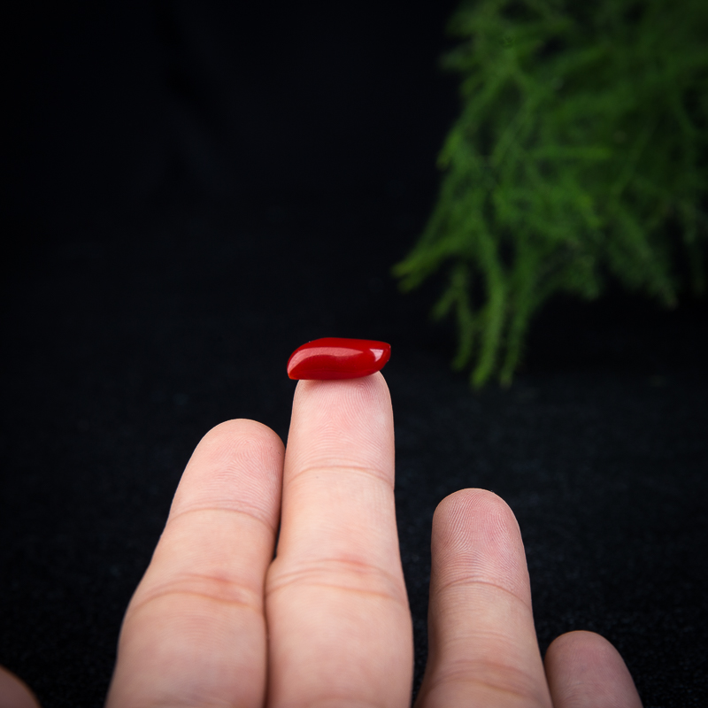 红珊瑚S型戒面-红掌柜