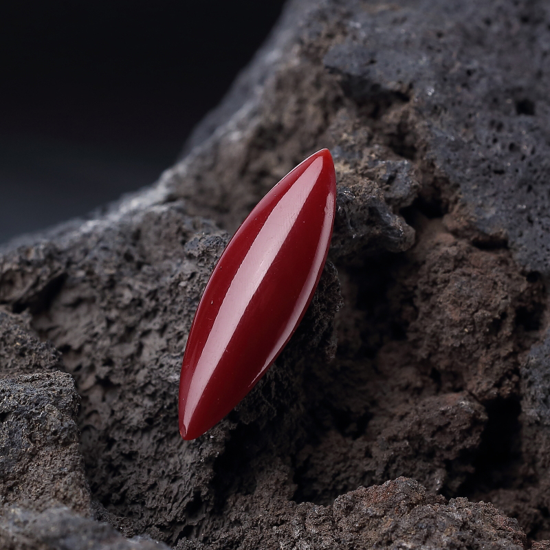 天然阿卡黑红珊瑚戒面-红掌柜