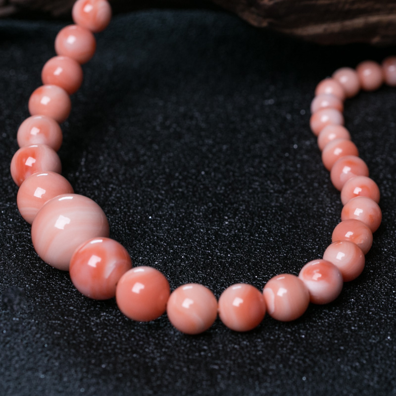 台湾珊瑚塔链-红掌柜