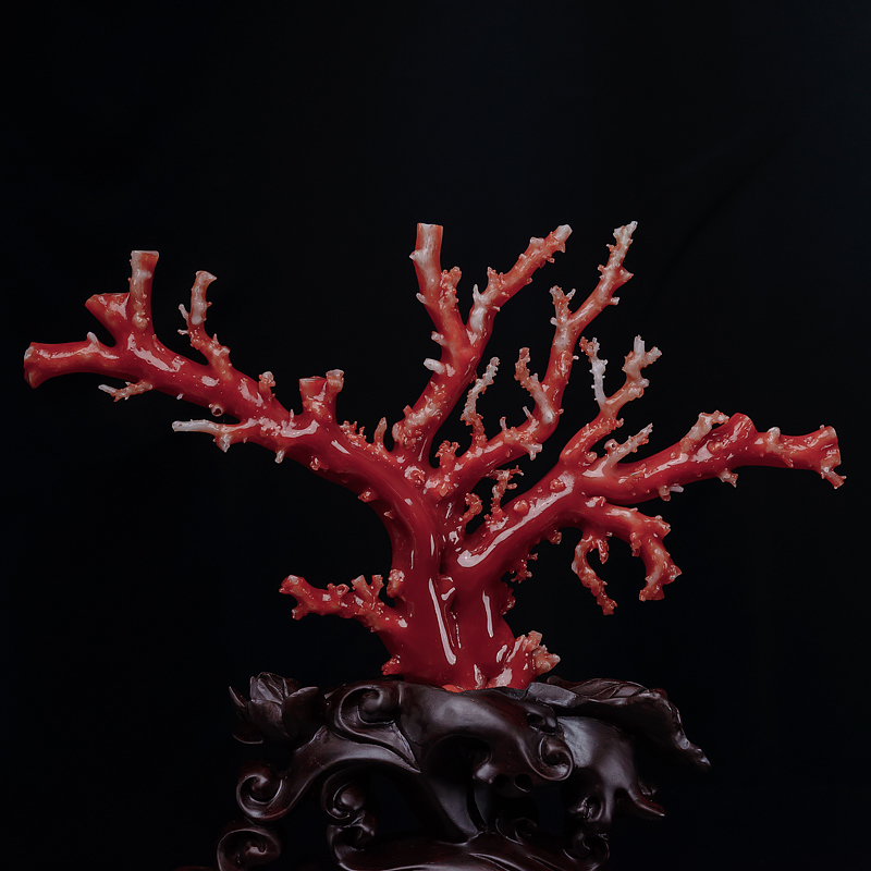 红珊瑚摆件-红掌柜
