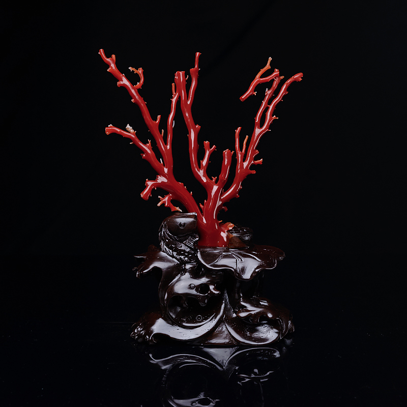 红珊瑚原枝摆件-红掌柜