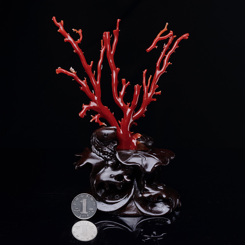天然日本阿卡牛血红珊瑚原枝摆件-红掌柜