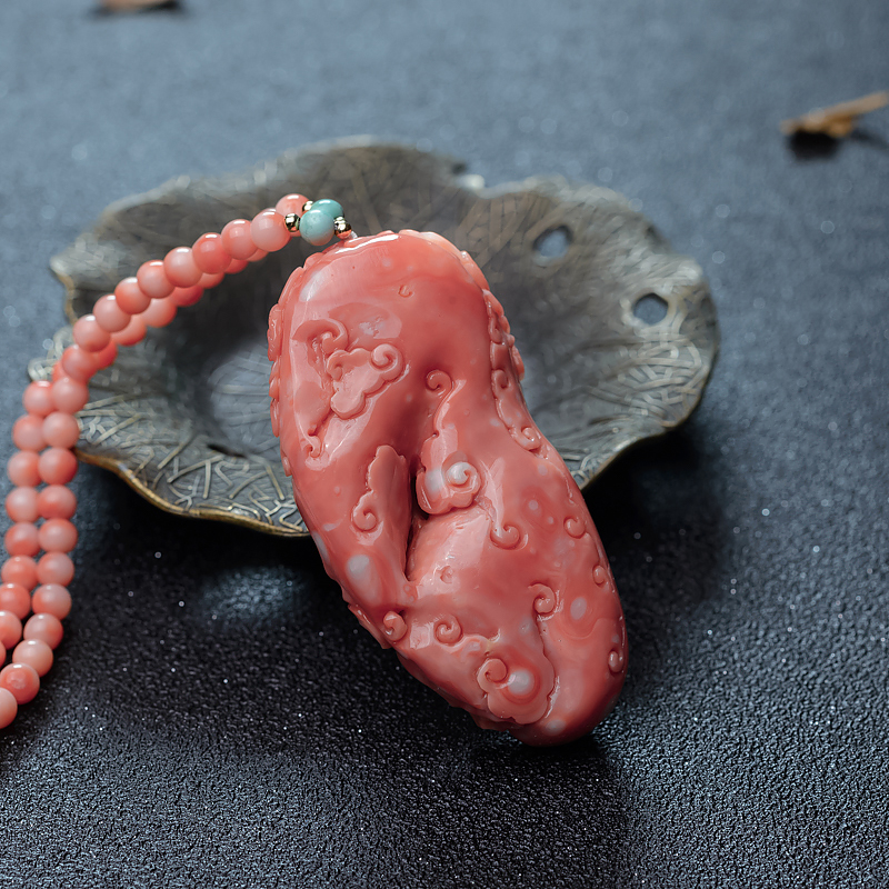 MOMO珊瑚寿星-红掌柜