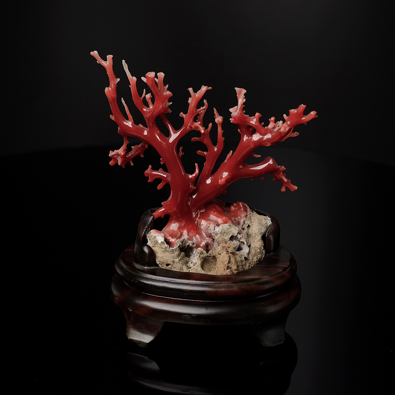 阿卡正红珊瑚树枝摆件-红掌柜