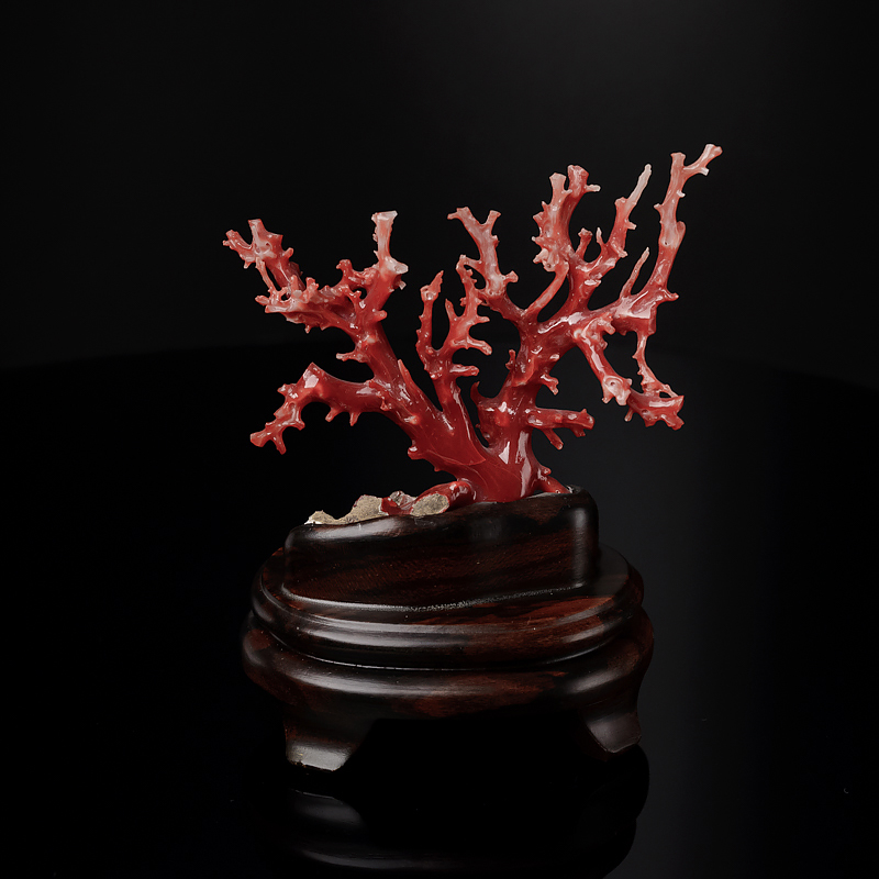 珊瑚树枝摆件-红掌柜