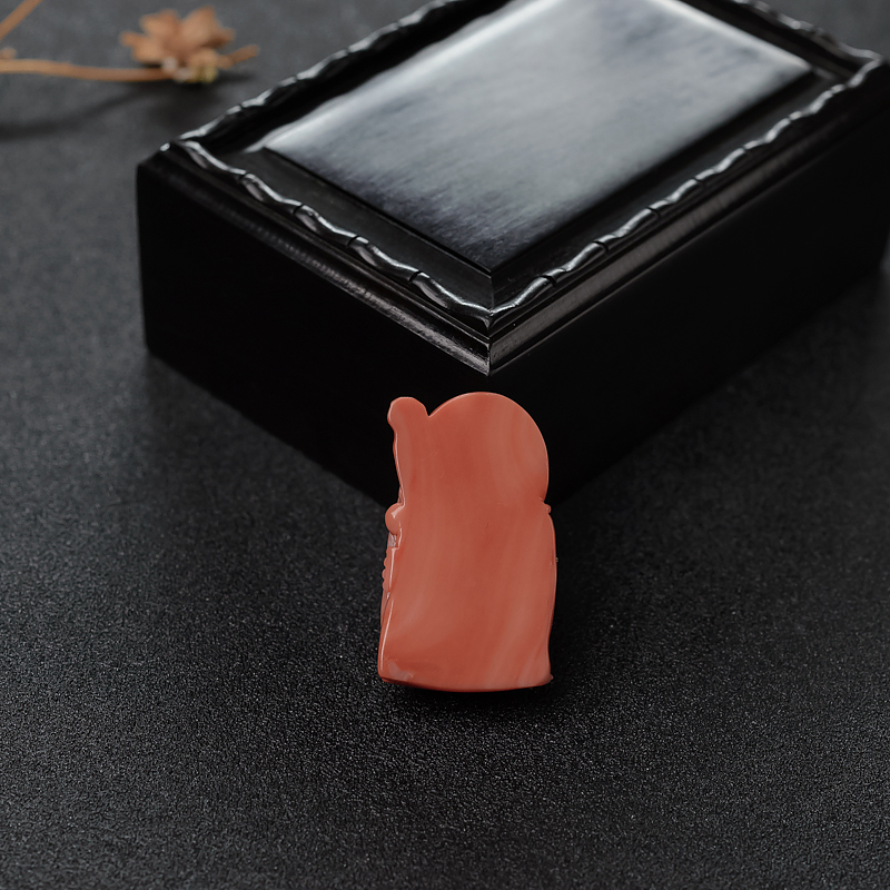 MOMO橘红珊瑚寿公-红掌柜