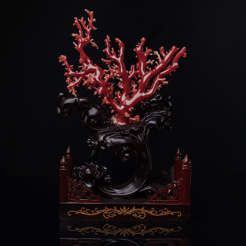 阿卡珊瑚原枝摆件-红掌柜