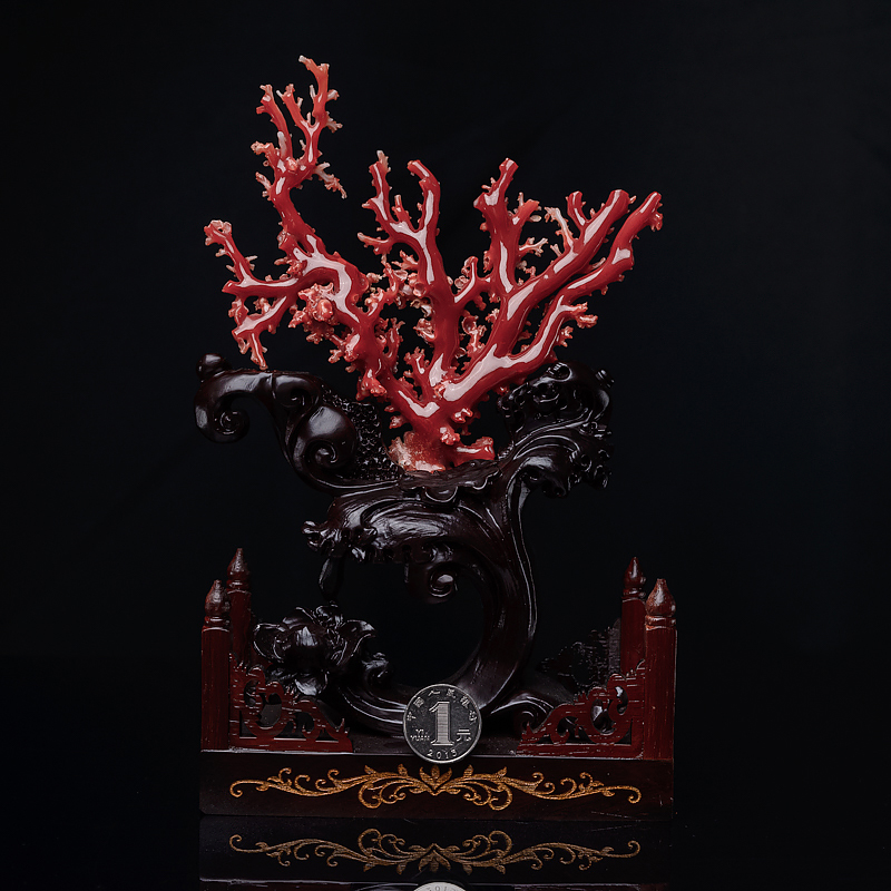 日本阿卡珊瑚摆件-红掌柜