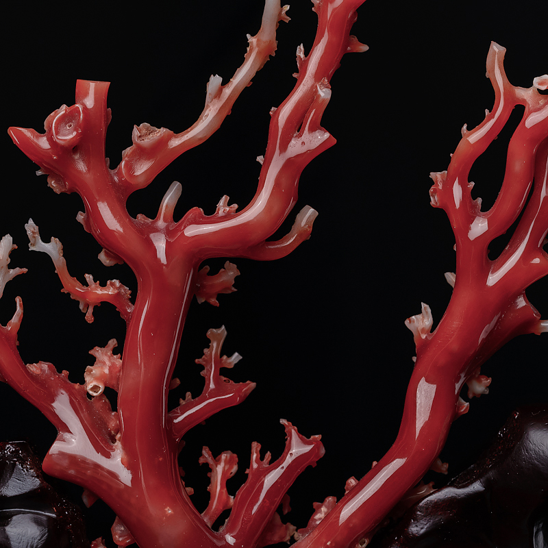 天然阿卡珊瑚摆件-红掌柜