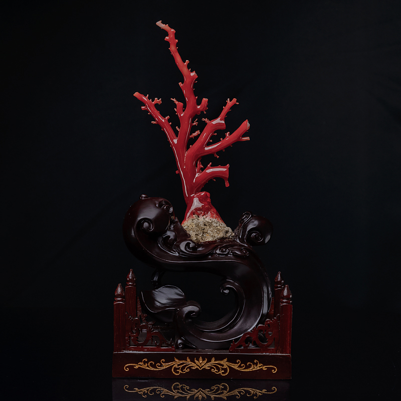 阿卡珊瑚原枝摆件-红掌柜