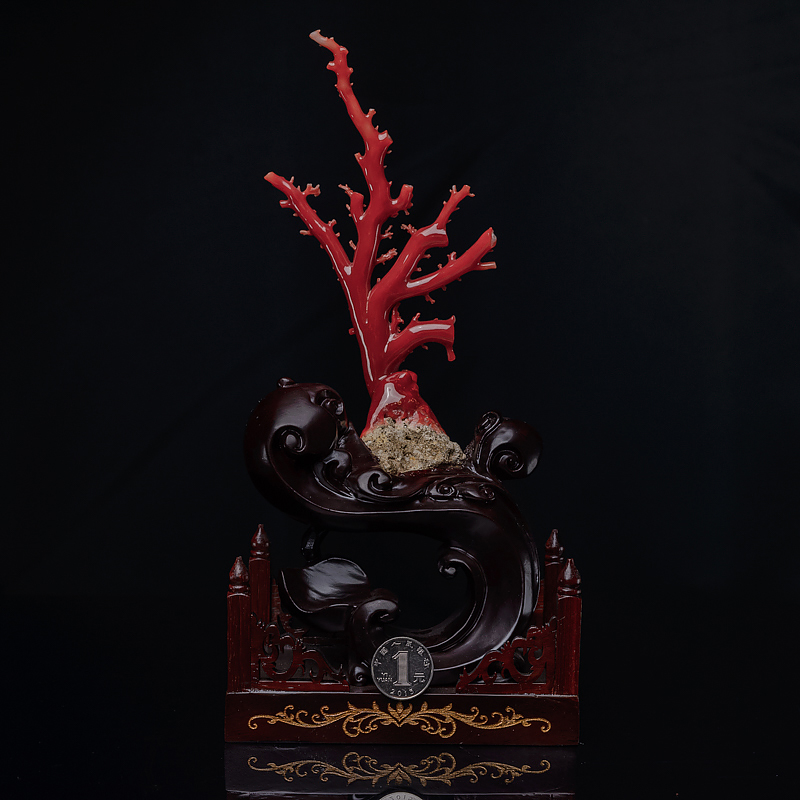 天然日本阿卡珊瑚原枝摆件-红掌柜