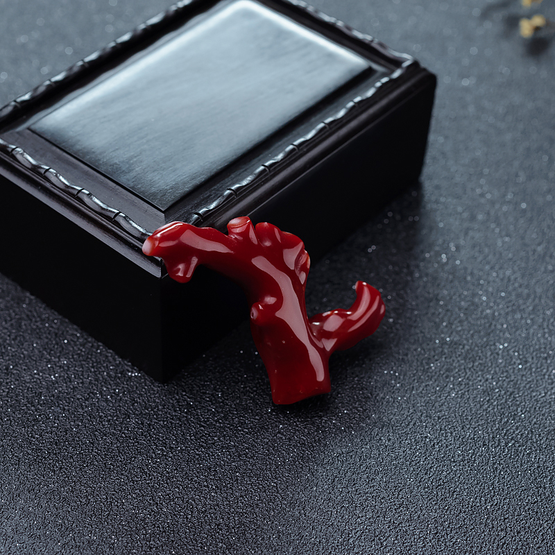 阿卡牛血红珊瑚原枝-红掌柜