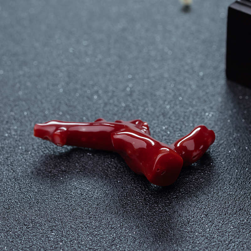 日本阿卡牛血红珊瑚原枝-红掌柜