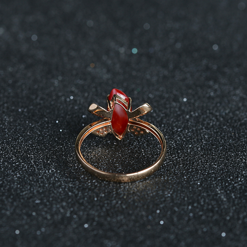 日本珊瑚-红掌柜