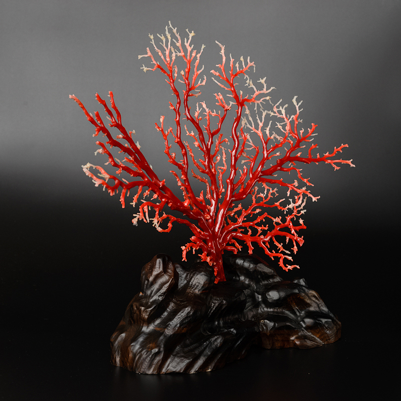 珊瑚摆件-红掌柜