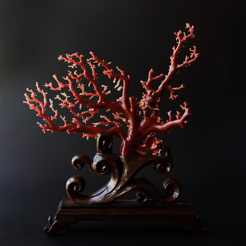 红珊瑚原枝价格多少钱？怎样挑选红珊瑚原枝