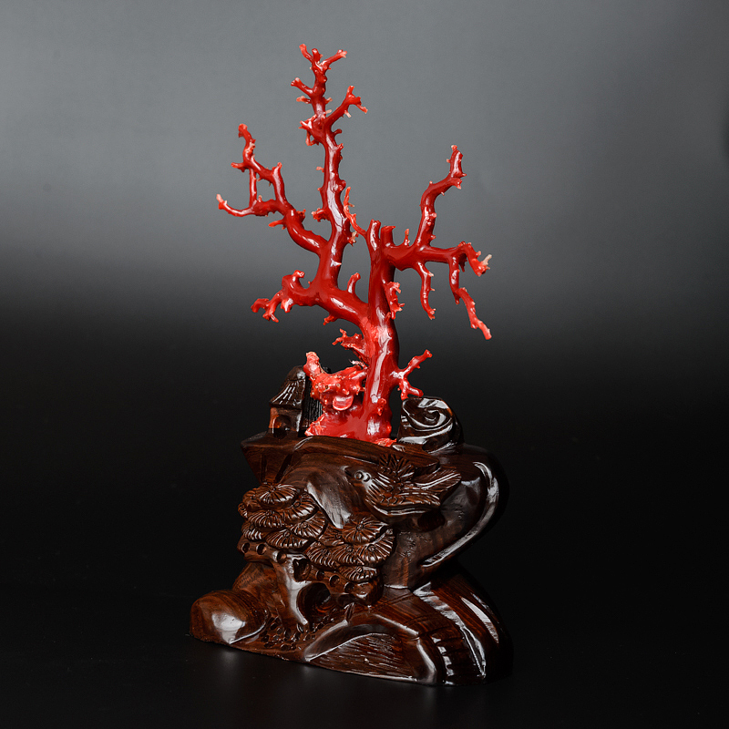 珊瑚树枝摆件-红掌柜