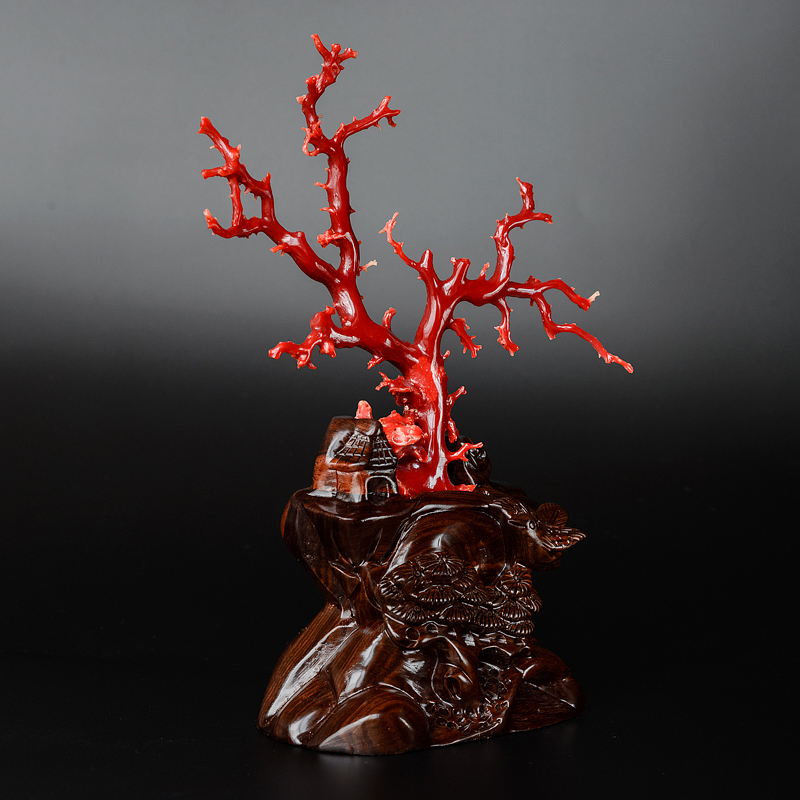 阿卡珊瑚摆件-红掌柜