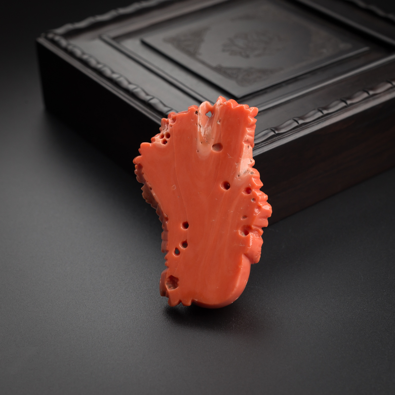 MOMO红珊瑚牡丹花-红掌柜