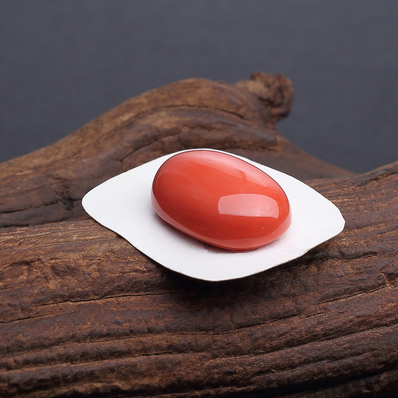 红珊瑚戒面 - 红掌柜