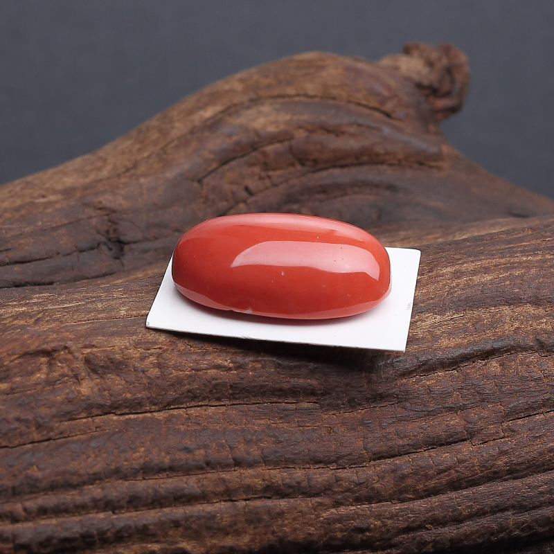 橘红珊瑚戒面 - 红掌柜
